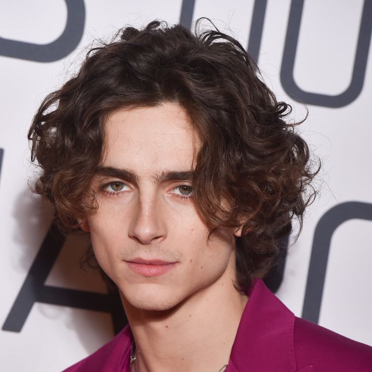 An Ode to Timothée Chalamet's Chiseled, Sharp, and Sexy Jawline Jawline Men, Chiseled Jawline, Androgynous Haircut, Androgynous Hair, Mens Haircuts, Timmy T, Liam Hemsworth, Timothee Chalamet, Hollywood Celebrities