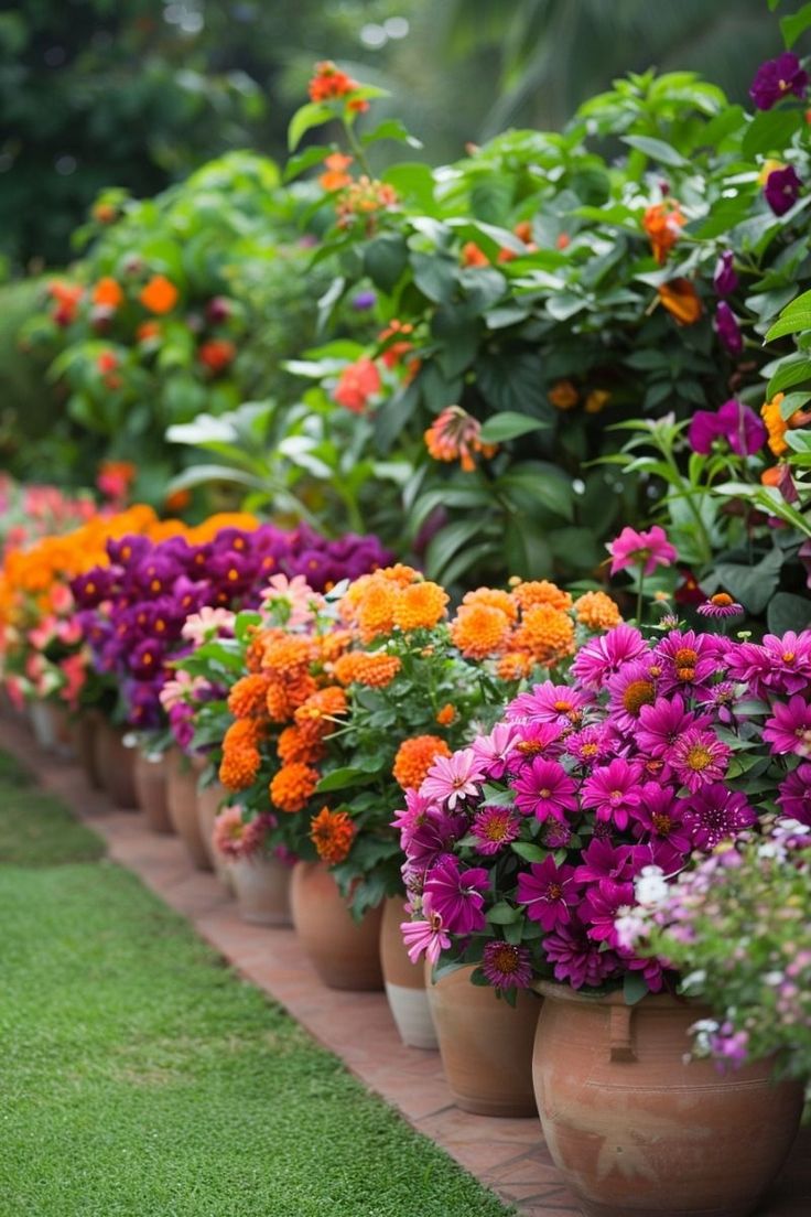 there are many potted flowers in the garden