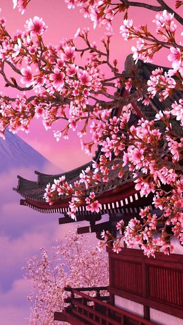 Cherry Blossom Wallpaper 20 Iphone Wallpaper Japan, Anime Cherry Blossom, Japan Wallpaper, Asian Wallpaper, Japanese Background, Wallpaper Seni, Blossom Wallpaper, Japan Cherry Blossom, Japanese Wallpaper Iphone