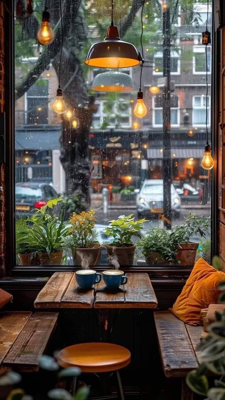 an outdoor cafe with wooden tables and hanging lights over the windows, surrounded by potted plants