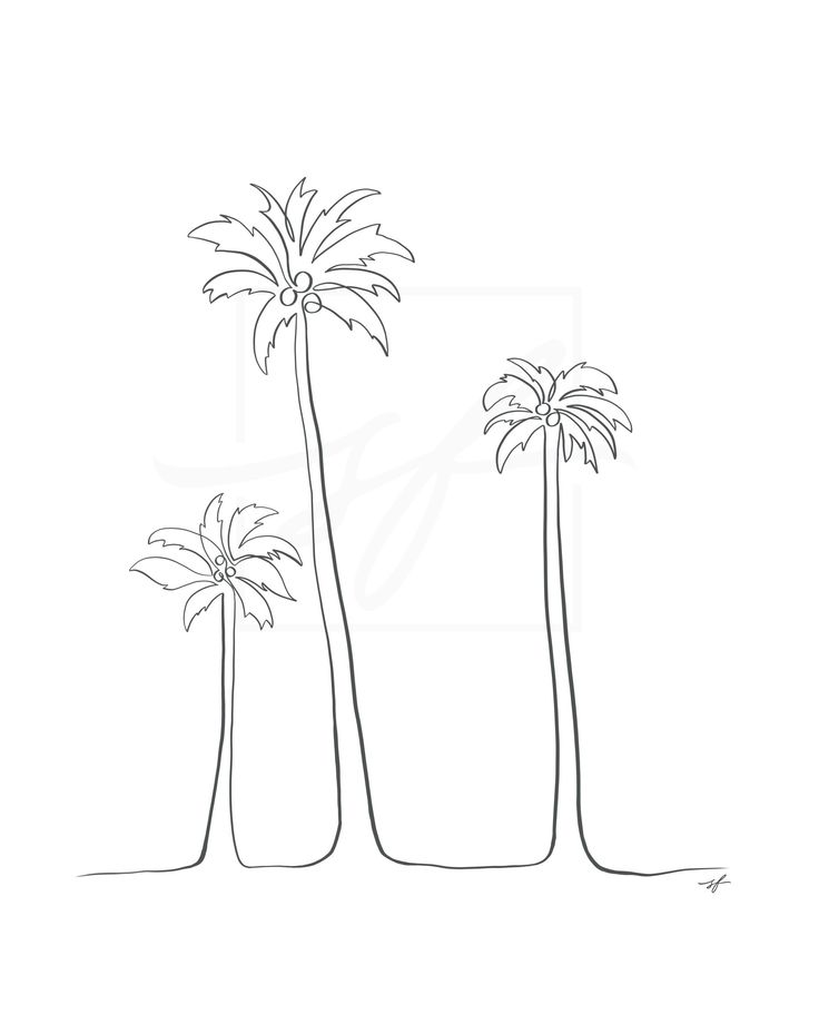 three palm trees with one single tree in the foreground and two smaller trees behind them