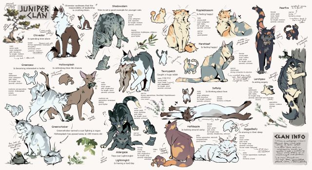 an illustrated poster with many different types of animals