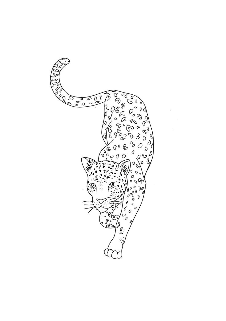 a black and white drawing of a cheetah walking on its hind legs with spots all over it's body