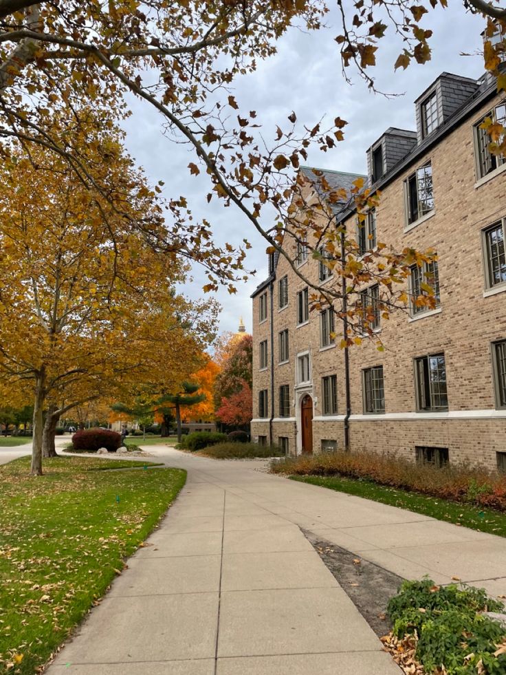 a sidewalk in front of a building with lots of trees and leaves on the ground