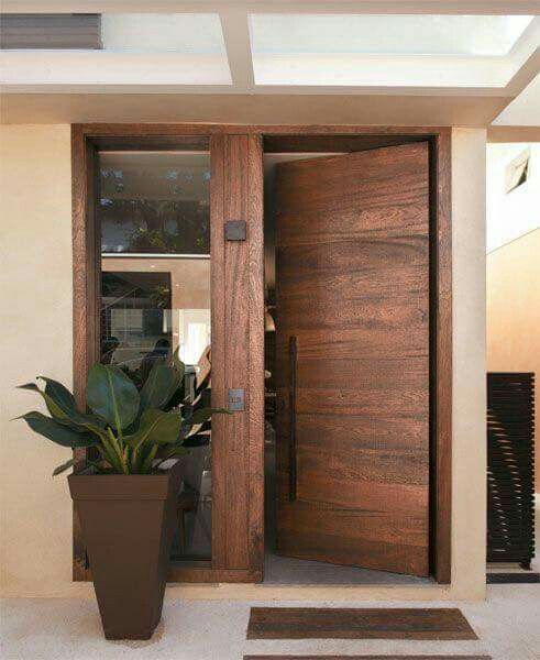 a potted plant sitting in front of a wooden door