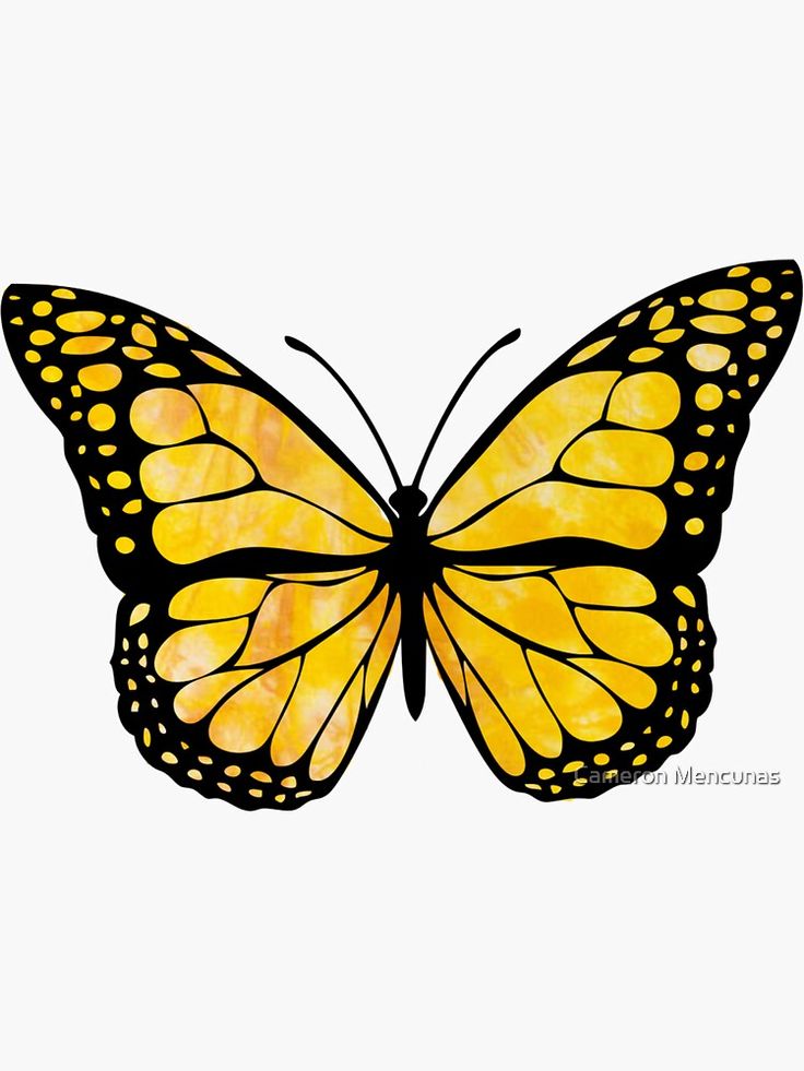 a yellow butterfly with black spots on it's wings