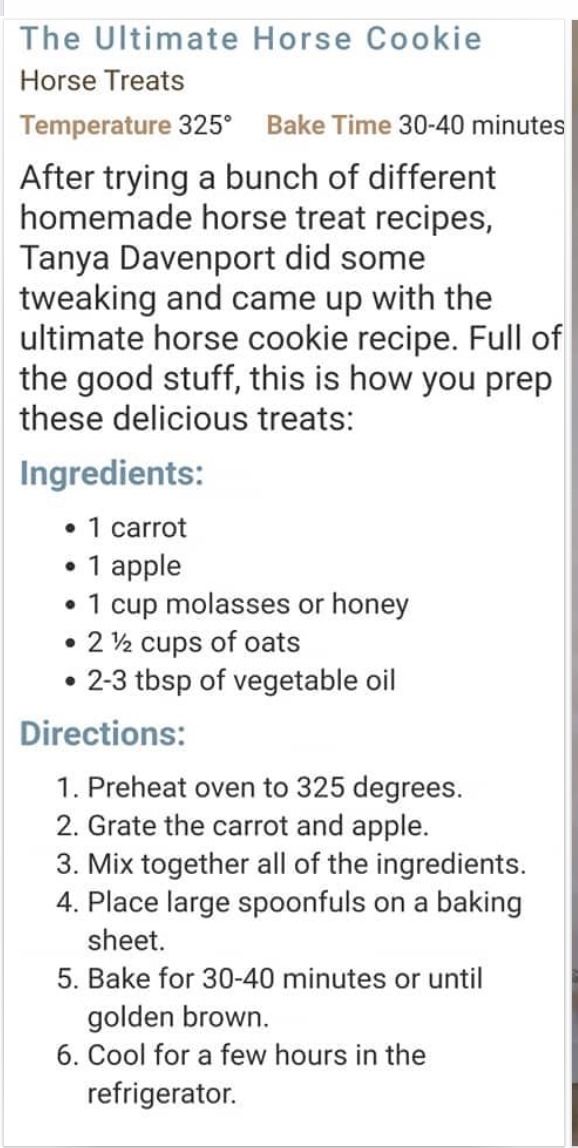 the ultimate horse cookie recipe with instructions