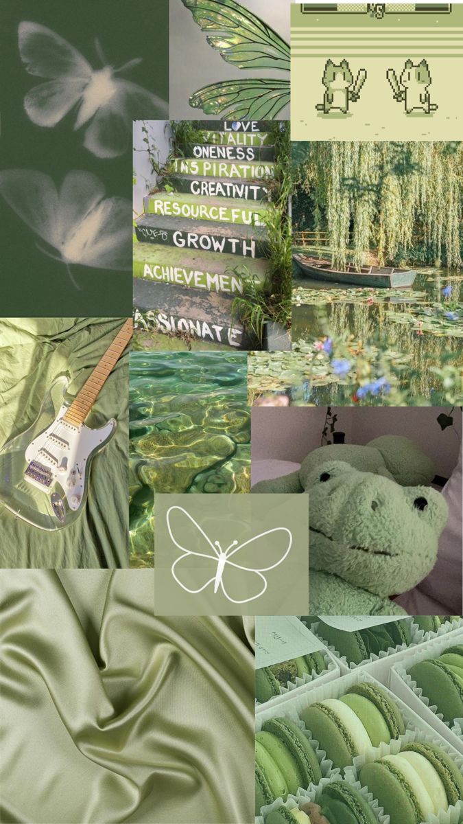 a collage of images with green and white items in them, including a teddy bear