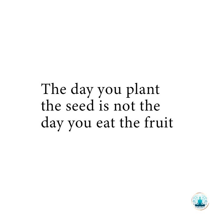 the day you plant the seed is not the day you eat the fruit