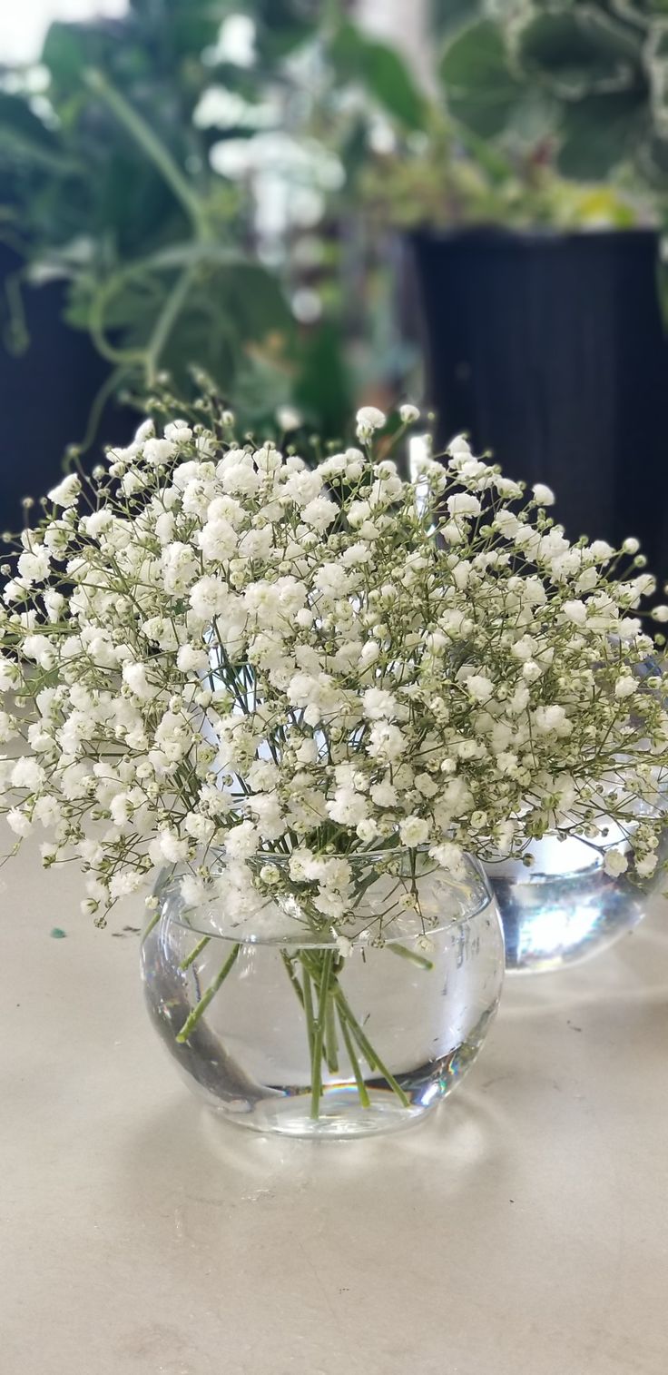 small white flowers in a clear vase on a table