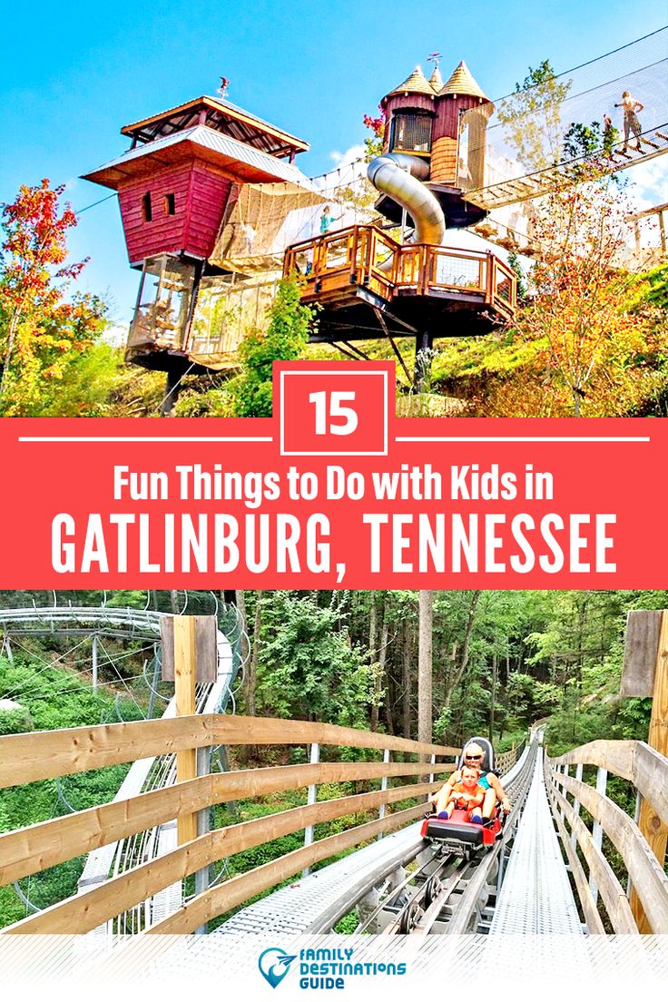 the top things to do with kids in gatlinburg, tennessee