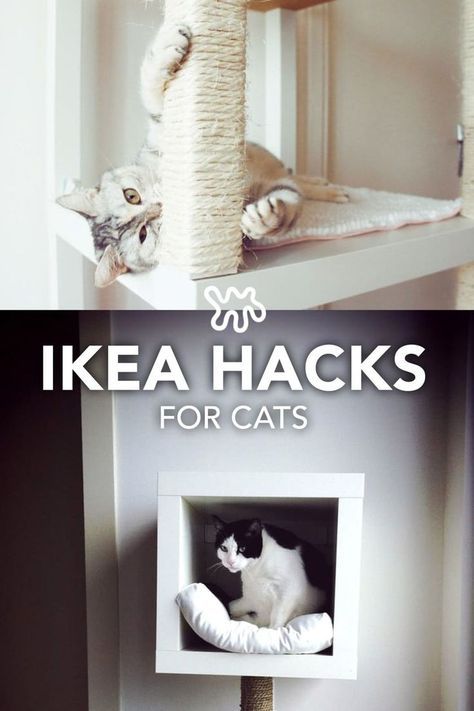 a cat sitting on top of a scratching post with the caption ikea hacks for cats