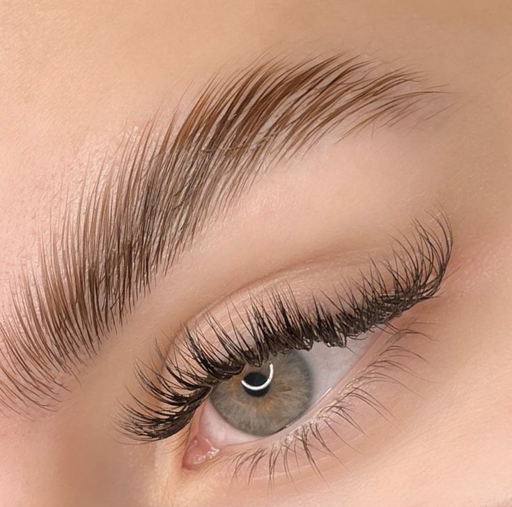 Brows Lift, Laminated Eyebrows, Brow Lifting, Lashes And Eyebrows, Eye Lash Photography, Eyebrow Lamination, Keratin Lash Lift, Eyebrow Lift, Lash Makeup