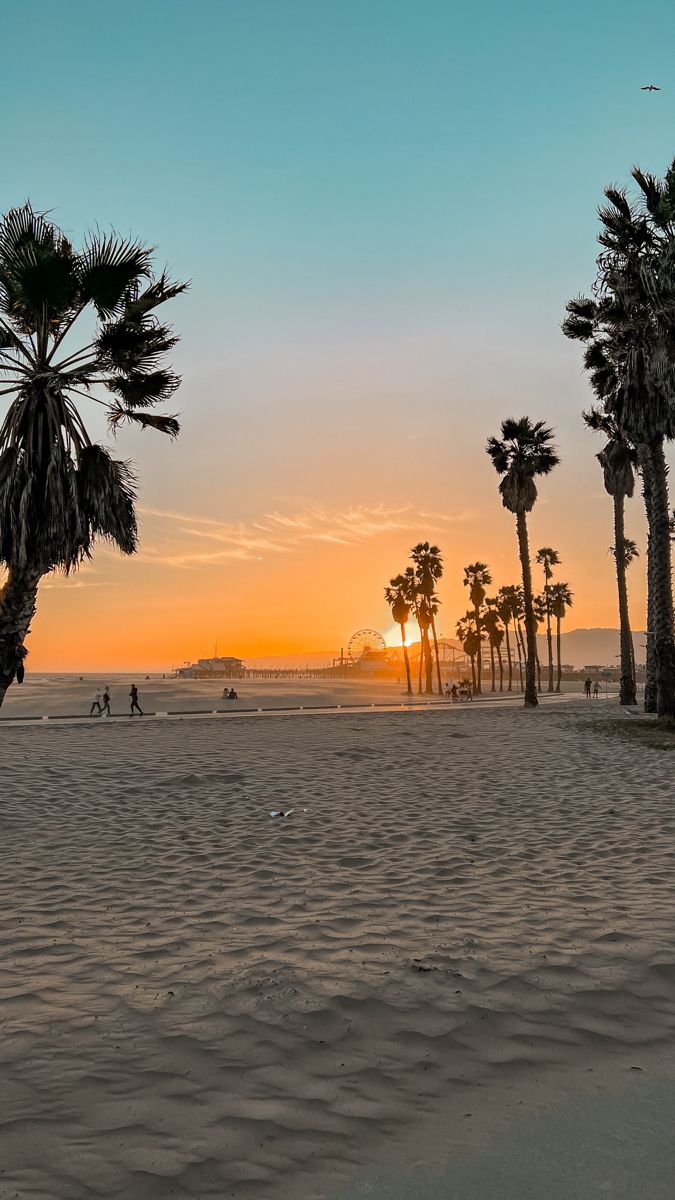 palm trees line the beach as the sun sets