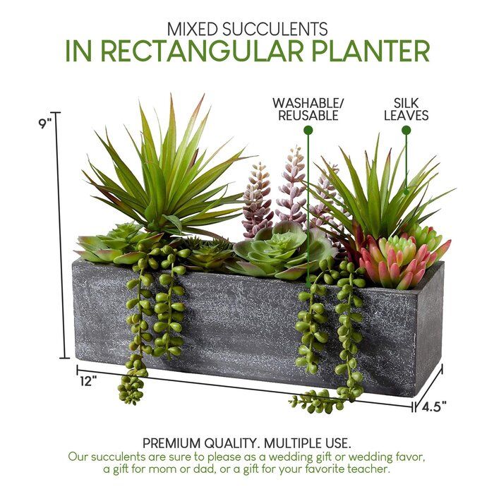 an image of a planter with succulents and other plants in it