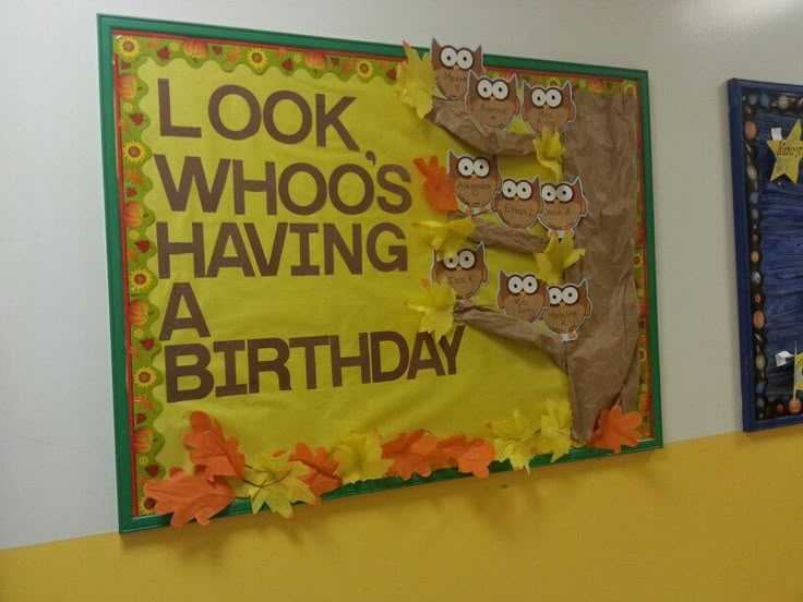 a bulletin board with owls on it and the words look who's having a birthday