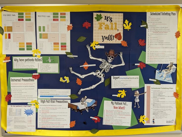 a bulletin board with skeleton and fall leaves on it's side, in front of a blue background