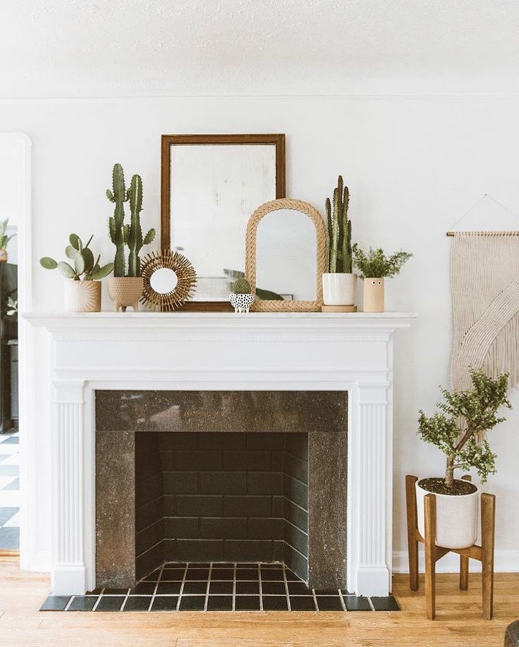 a living room with a fireplace and potted plants on top of the mantel