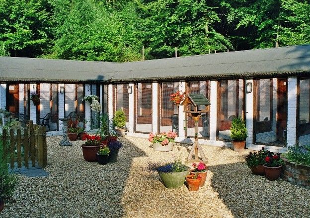 an outside view of a building with potted plants on the ground and trees in the background