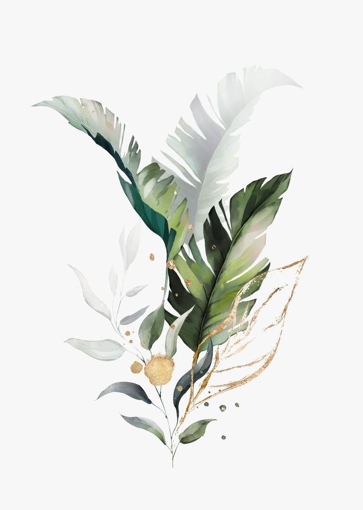 an image of some leaves on a white background