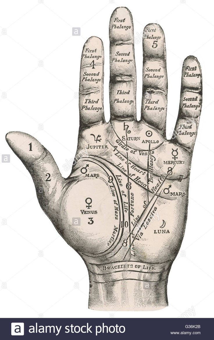 a drawing of a hand with an analog clock on it's middle finger, and the words time in roman numerals