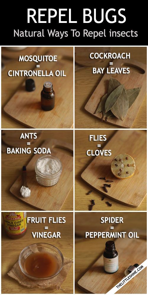 the recipe for repel bugs is shown on a cutting board with ingredients and instructions