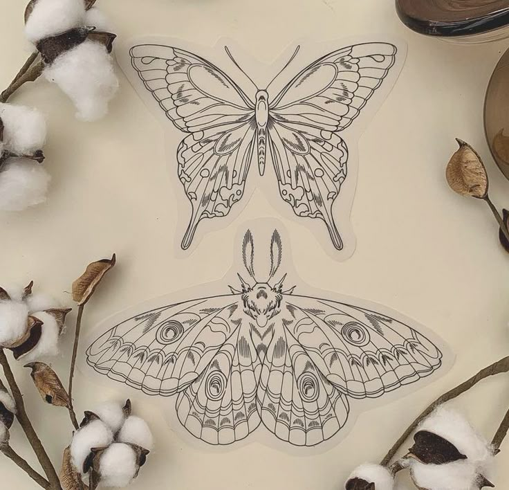 the butterfly is sitting on top of cotton in front of it's own image