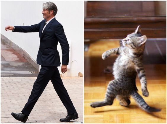 a man in a suit walking next to a cat on the ground and another photo of a kitten