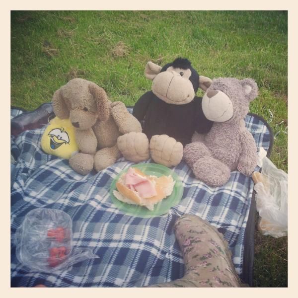 three stuffed animals are sitting on a picnic blanket with food and water in front of them