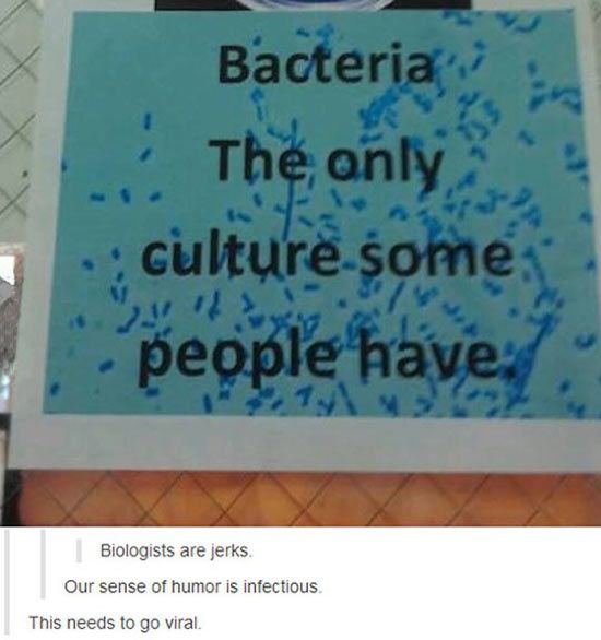 a sign that says bacteria the only culture some people have