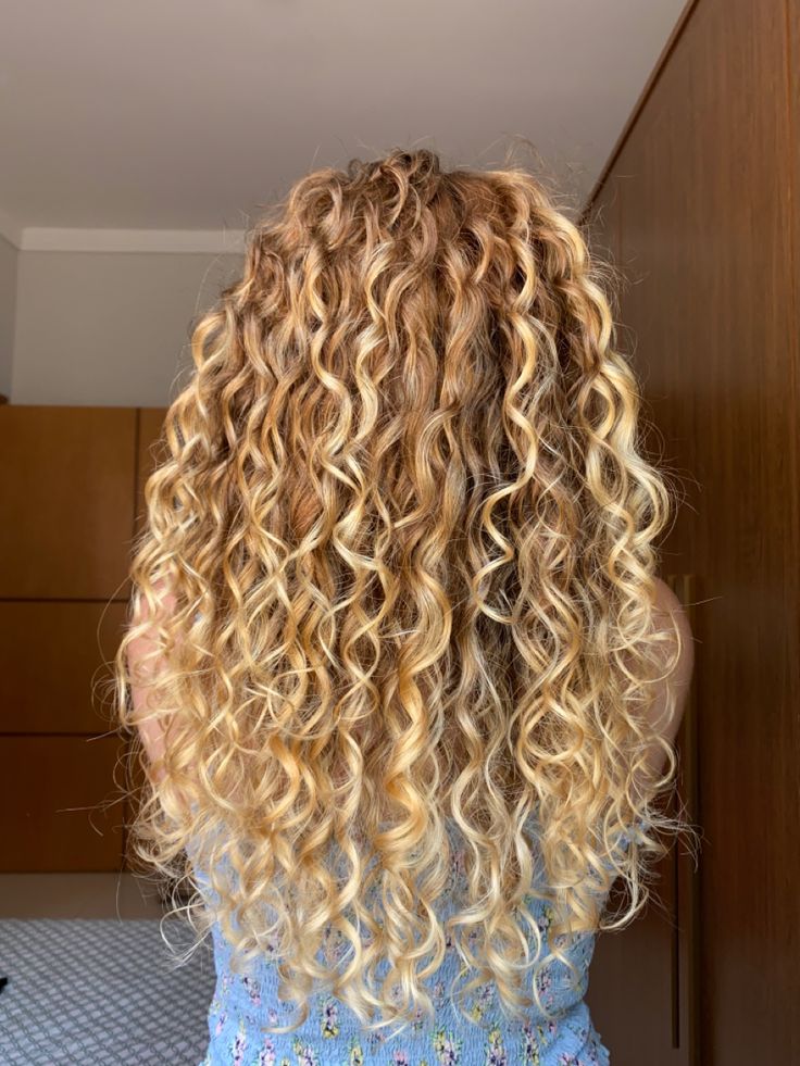 Blonde Curly Balayage Natural, Naturally Blonde Curly Hair, Root Melt Blonde Curly Hair, Blond Hair Ideas Curly, Highlights On Blonde Curly Hair, Brown Hair Blond Highlites, Honey Blonde On Curly Hair, Blonde Curly Hair Layers, Long Blonde Permed Hair