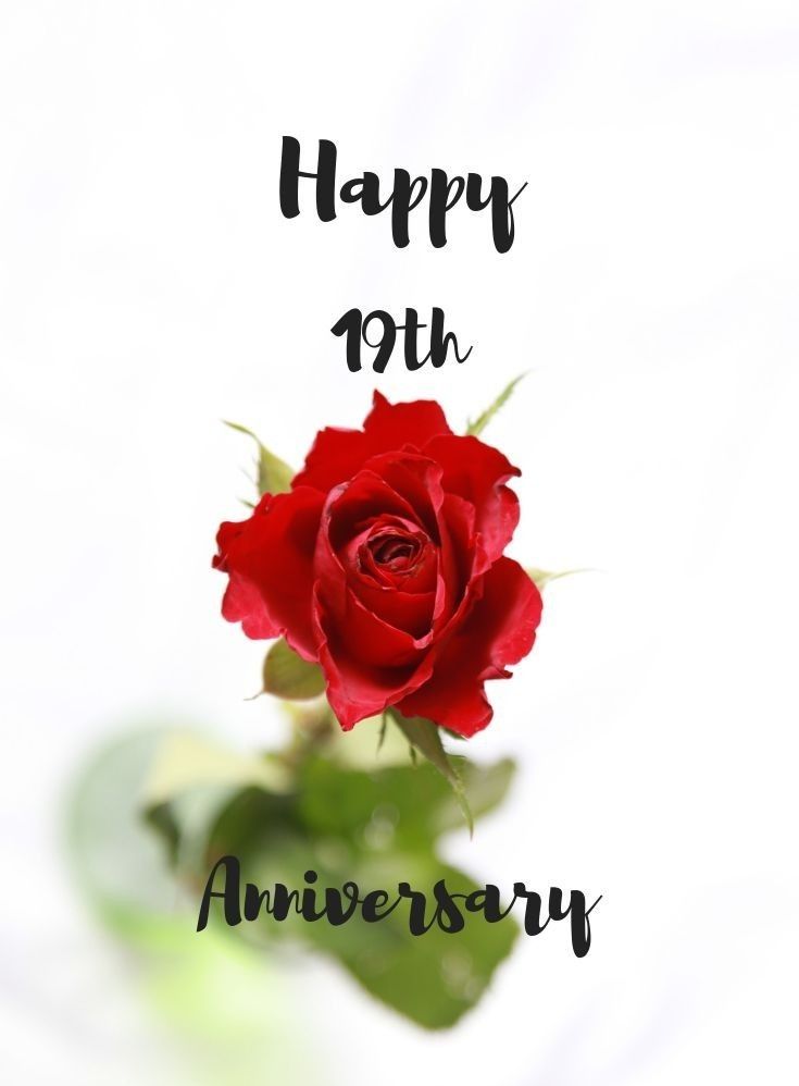 a red rose with the words happy 19th anniversary