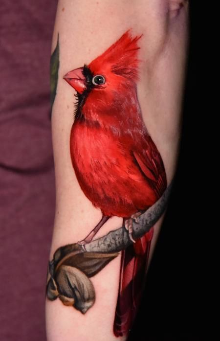 a red bird sitting on top of a tree branch with leaves around it's neck