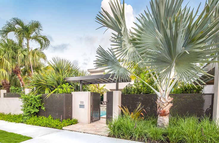 a house with palm trees in front of it and a swimming pool on the other side