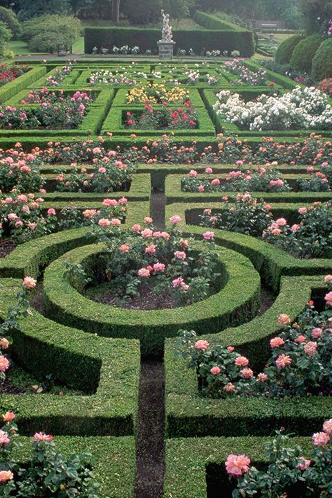 a garden with many different types of flowers in the center and bushes all around it