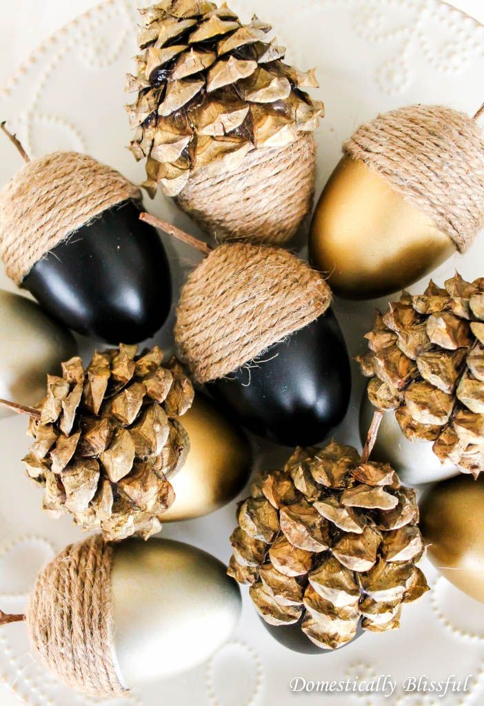 some acorns are sitting on a plate with twine and pinecones