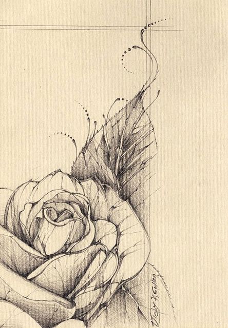 a drawing of a rose on a piece of paper