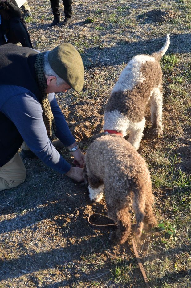 a man kneeling down petting a dog on top of a grass covered field next to other people