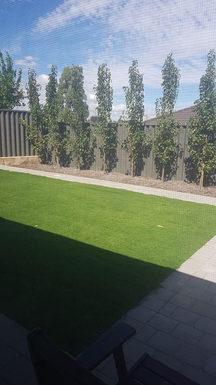 an empty backyard with grass and trees in the background