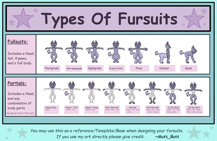 the different types of fursuits are shown in this graphic above it's description