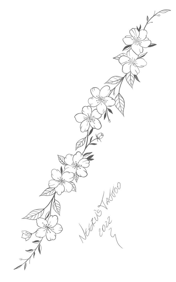 a line drawing of flowers on a white background