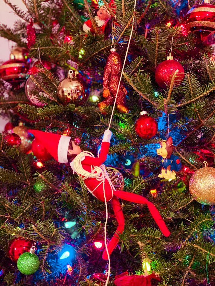 a christmas tree with ornaments and lights on it's branches, including an elf ornament