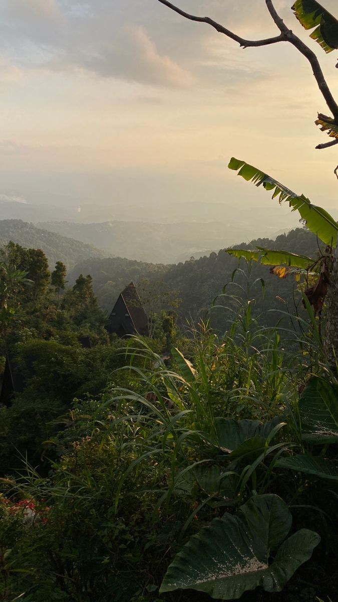 Triangle roof house in the middle of the jungle with ocean view, sunset and golden hour Jungle Video, Munduk Bali, Unusual House, Hill View, Golden Hour Sunset, Jungle Wallpaper, Pretty Landscapes, Nature Plants, Paradise Island