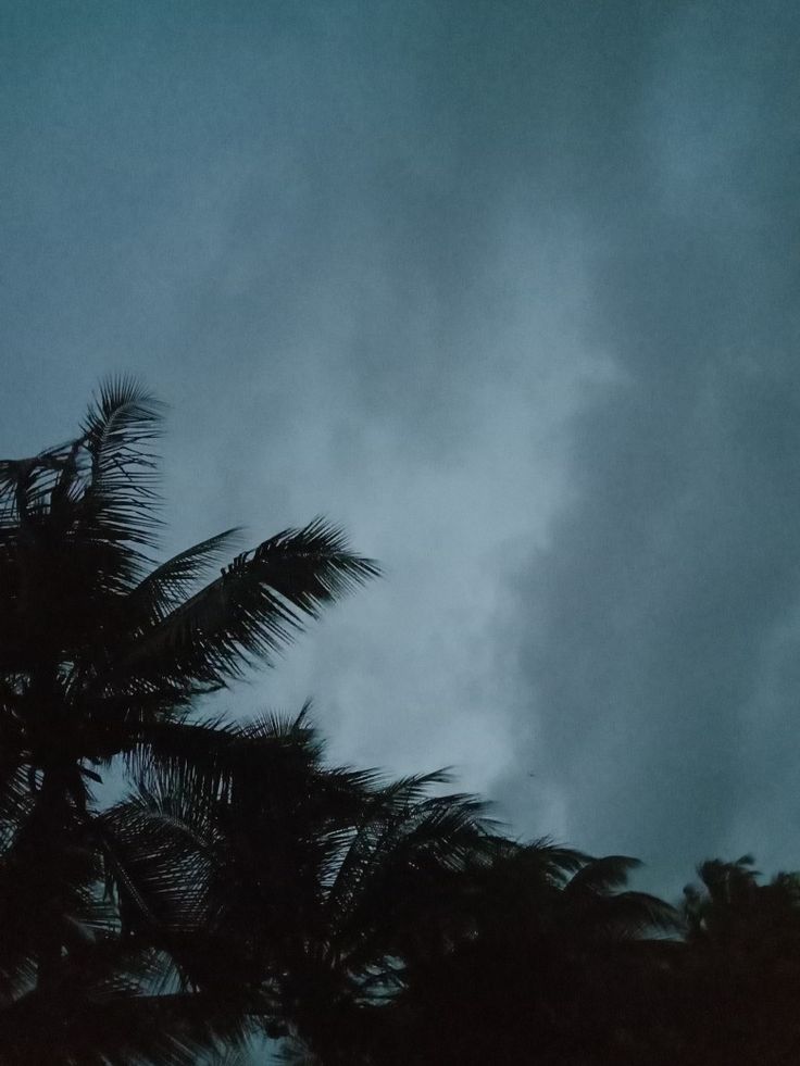 palm trees are silhouetted against the dark sky in this photo taken on an overcast day