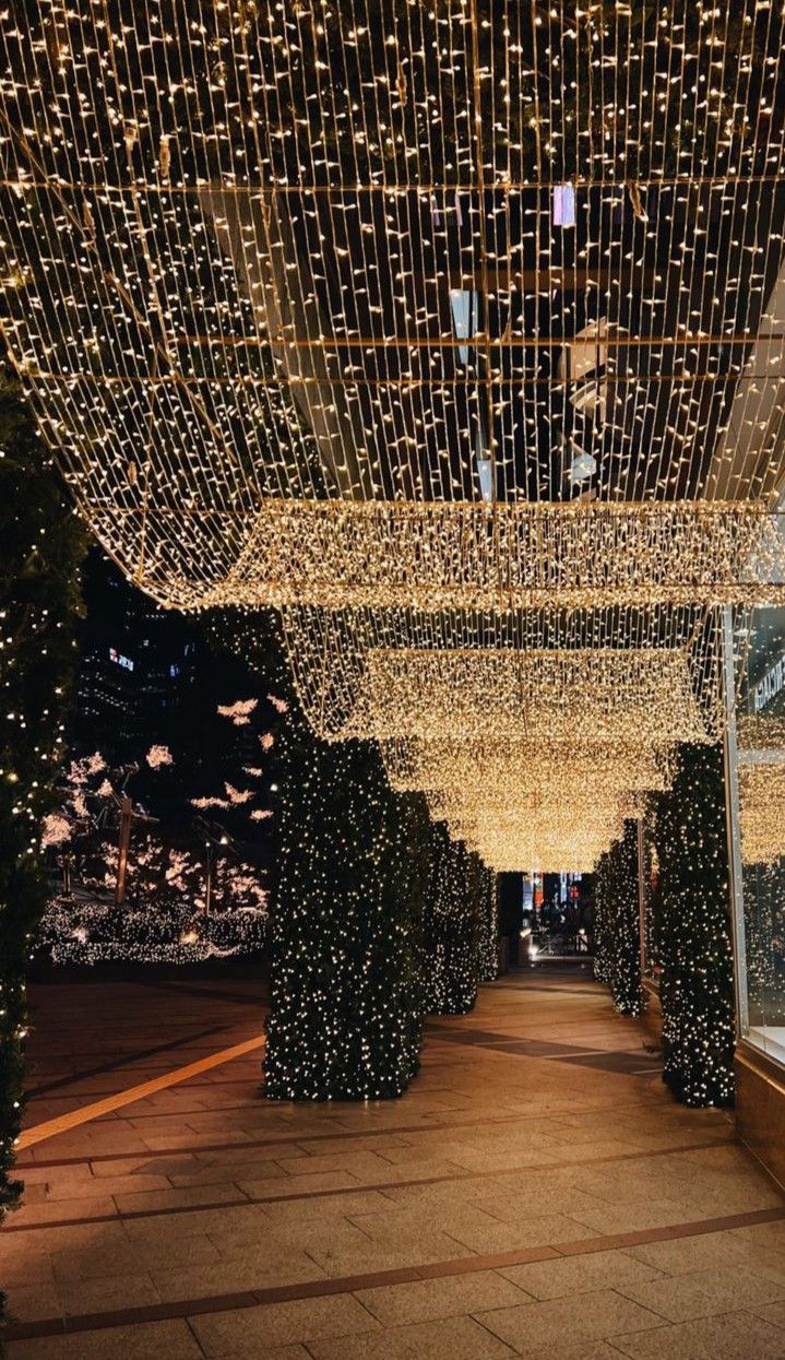 an outdoor walkway covered in christmas lights at night