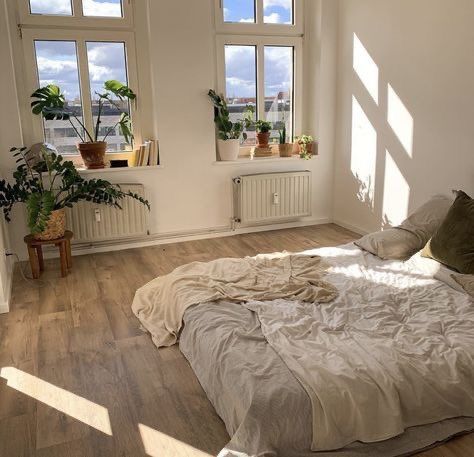 a bed sitting in the middle of a bedroom next to two windows with potted plants on them