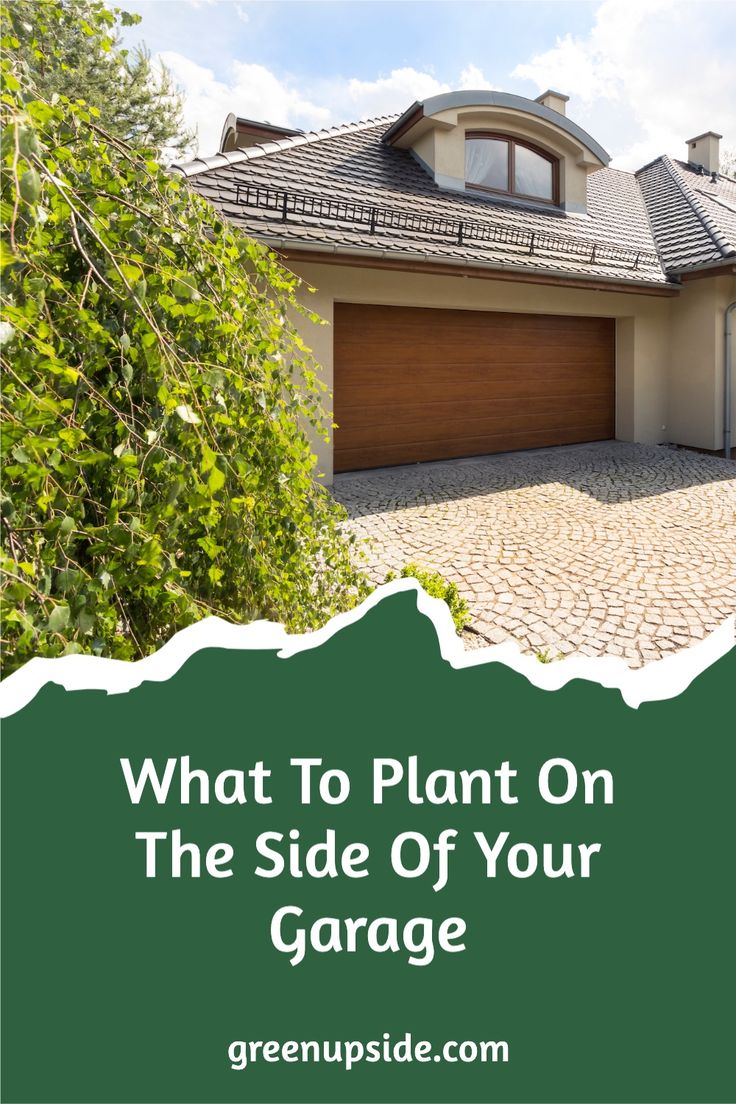 a house with the words what to plant on the side of your garage in front of it