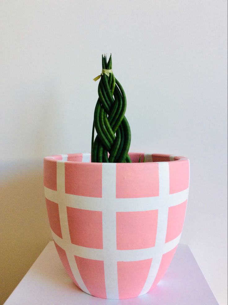 a pink and white checkered planter with a green cactus in it's center