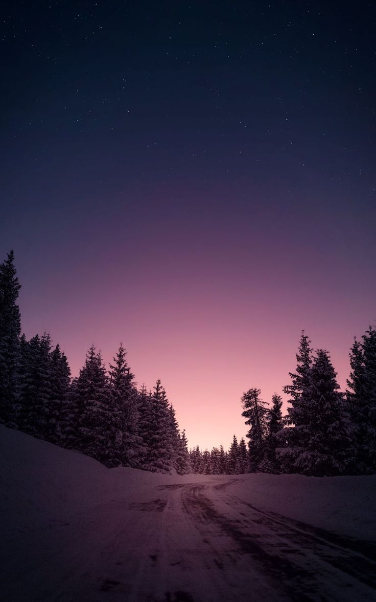 the night sky is lit up over a snowy road