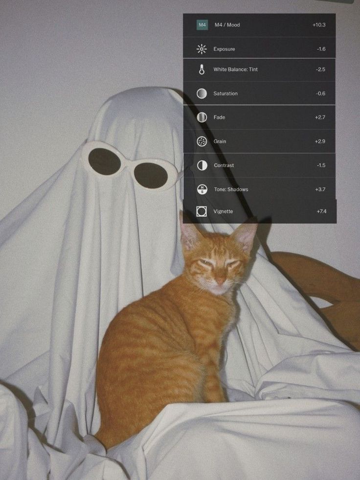 an orange cat sitting on top of a bed next to a white cloth covered ghost